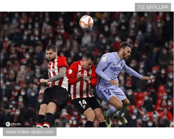 澳篮联36人vs跳蚁：防守韧性成关键，历史交锋预示胶着战