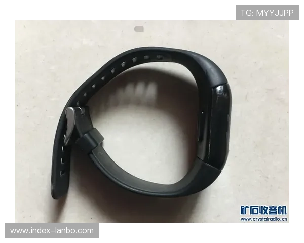 电子围栏动态预警系统投入使用，智能导航优化观演体验